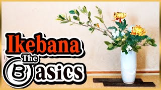 Basics! How to Arrange Nageire Style Using a Vase