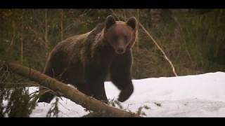 România, Redescoperă-te! Film 3