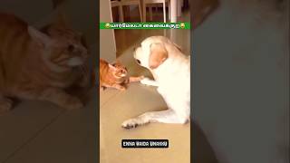 நீ செத்தடா இன்னைக்கு😂 dog dubbing🔥 || #shorts #memes #funny #trending #comedy #fun #animals #dog