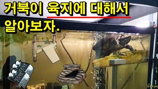 [#거북이씨​]  거북이 육지에 대해서 알아보자. 반수생 거북이 육지 추천 영상.