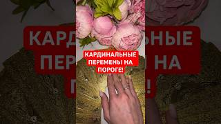 КАРДИНАЛЬНЫЕ ПЕРЕМЕНЫ НА ПОРОГЕ! #гадание #онлайнгадание