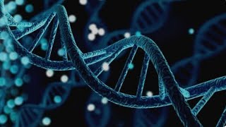 How to easily manipulate DNA sequences in Python using .complement() & reverse_complement() menthod