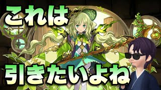 【パズドラ】多色使いにとっては過去最高レベルのリーダースキル！アルジェはやばい！【フェス限】元パズバト全国１位ノッチャが老眼に負けず頑張る動画 vol.524