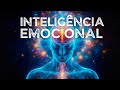 INTELIGÊNCIA EMOCIONAL - ENTENDENDO A ALMA E O CÉREBRO