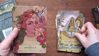 The Herbal Astrology Oracle - Flip Through