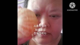 비는 내리고 먹을 복은 넘쳐나고