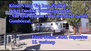 Közös Videó Vas Imre Zsolttal – Vadnyúl Nyárson Sütve, Vadas Mártással Zsemle Gombóccal.