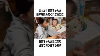 絵本読んでもらってるのにお姉ちゃんばかり見ている息子【6ヶ月】 #shorts