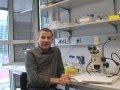 FENS Forum | Interview with Dr. Barry Dickson - The Neurobiology of Drosophila Mating Behaviours