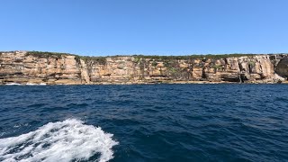 Port Hacking Fishing Adventures - Flathead