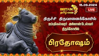 LIVE-திருவானைக்கோயில்-ஜம்புகேஸ்வரர் திருக்கோவில் பிரதோஷம் வழிபாடு| Thiruvanaikoil Pradosham