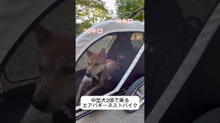 多頭飼いのエアバギーネストバイク