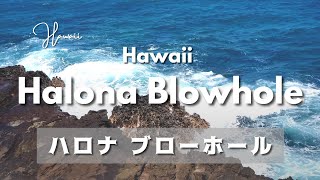 Hawaii Halona Blowhole/ハワイ・ハロナ・ブローホール/ 하와이 할로나 블로우 홀