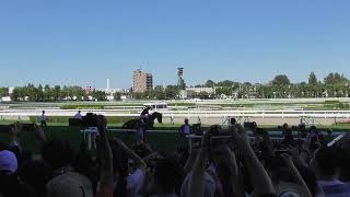 【札幌競馬場】札幌記念2022　本馬場入場　現地映像　低視点