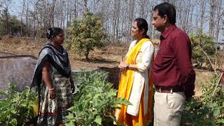 KVK   Tapi Nutritional Kitchen Gardening