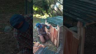 Building A Cheap Chicken Run #homestead #chickens #building #diy