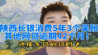 陕西长银消费5年3个呆账，其他网贷逾期42个月！还能办房贷车贷吗