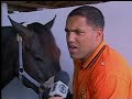 o paraibano ailton brilhou no futebol alemão em 2004