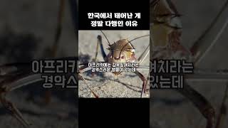 한국에서 태어난 게 정말 다행인 이유