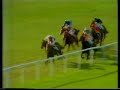 horse racing 1985 champion stakes newmarket. pebbles.avi