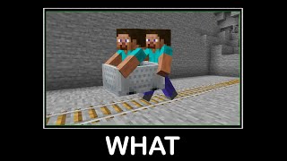 WAIT WHAT / Minecraft(steve cart) #58