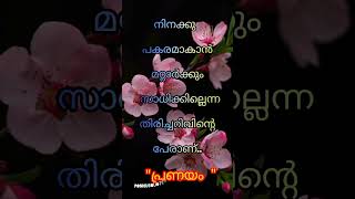 നിനക്ക് പകരമാകാൻ മറ്റാർക്കും Valentineday status #pranayam #malayalamquotes subscribe daily videos