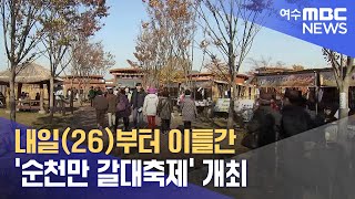 내일(26)부터 이틀간 '순천만 갈대축제' 개최 (241025금/뉴스데스크)