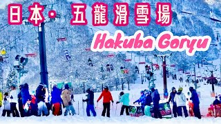 2024日本長野白馬村滑雪之旅：白馬五龍滑雪場/2024 Japan Nagano Hakuba Village Ski Tour: Hakuba Goryu