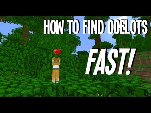Minecraft: How to find Cats (Ocelots) Fast!! In 1.7.4 Minecraft: How to find Cats (Ocelots) Fast!! In 1.7.4