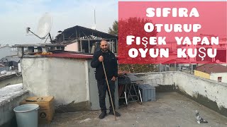 SIFIRA OTURAN OYUN KUŞU (ÇOCUKLUK ARKADAŞIM) |OYUN KUŞU SEYİSLİĞİ|