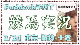 パドック予想で競馬実況。2021年2月21日