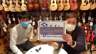 ドルフィンギターズYoutube店　今日のテーマ 「弦について！音？長持ちで選ぶ？定期的に交換した方が良いのはなぜ？ 」