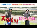 【スプリンターズs】菅原明良騎手がスプリント重賞4勝のトウシンマカオとgi連勝へ！