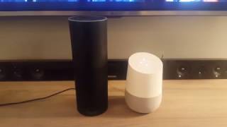 Amazon Echo versus Google Home - Asking Funny Questions