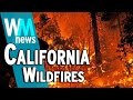 10 California Wildfire Facts - WMNews Ep. 46