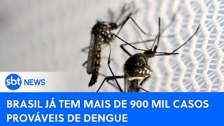 🔴SBT News na TV: Brasil tem mais de 900 mil casos e 195 mortes confirmadas por dengue