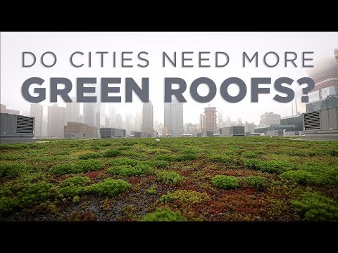 How Green Roofs Can Help Cities Npr Ejoy English