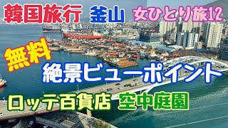 【韓国旅行 無料展望台】ロッテデパート屋上庭園 展望台