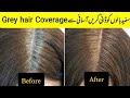 White hair coverage|Remove your grey hair|Roots touch up|White hair dye karna ka tarika.