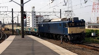 2018/08/04 【原色 クリーンかわさき号】 153レ EF64-1023 尻手駅