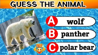 Guess the Animal Quiz | Can You Identify Them All | identify the animal | animal quiz | picture quiz