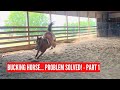 D/C HORSE RECENTLY STARTED BUCKING and Refusing To Get Caught | PART 1