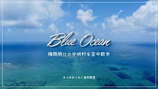 Blue Ocean | 沖縄の海 | 中城村 | 空撮 | 4K | Aerial view of the sea Nakagusuku | OKINAWA