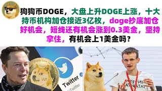 狗狗币DOGE，大盘上升DOGE上涨，十大持币机构加仓接近3亿枚，doge抄底加仓好机会，短线还有机会涨到0.3美金，坚持拿住，有机会上1美金吗？马斯克狗狗币|DOGE行情分析!