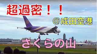 【超、超、超過密！！！】成田さくらの山から飛行機を眺めまくる！(場面飛ばしたい方は、概要欄へ！)