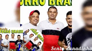 Banda forró Brasil Senta Danadinha