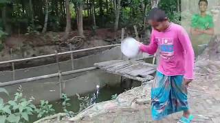 ২০২০ এ সেরা ফানিভিডিও.  2020 new funny video