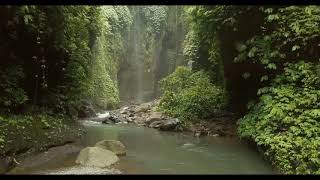 relaxing nature forest, Waterfall, Nature Sound, Forest Sounds