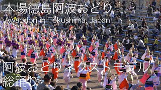 ずっとこれが見たかった！2020年最初で最後の総踊り！　Awaodori in Tokushima Japan