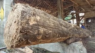 Hidden commands || Old Man's Strategy at the Sawmill in Sawing Very Long Logs